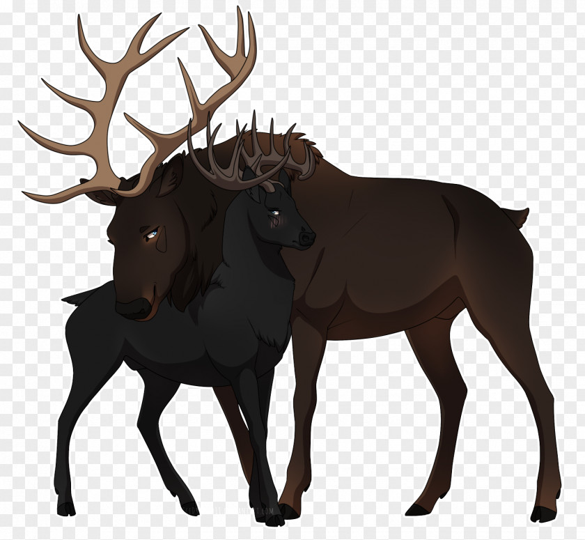 Reindeer Elk Moose Cattle Antler PNG