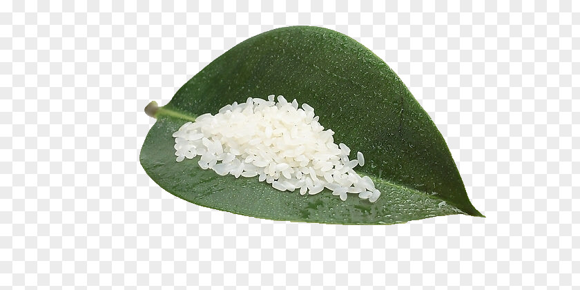 Rice Jasmine White Download PNG