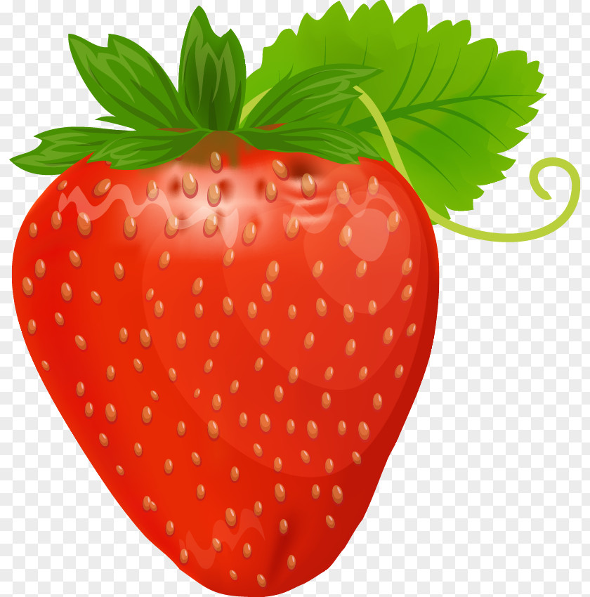 Strawberries Strawberry Smoothie Shortcake Amorodo Clip Art PNG