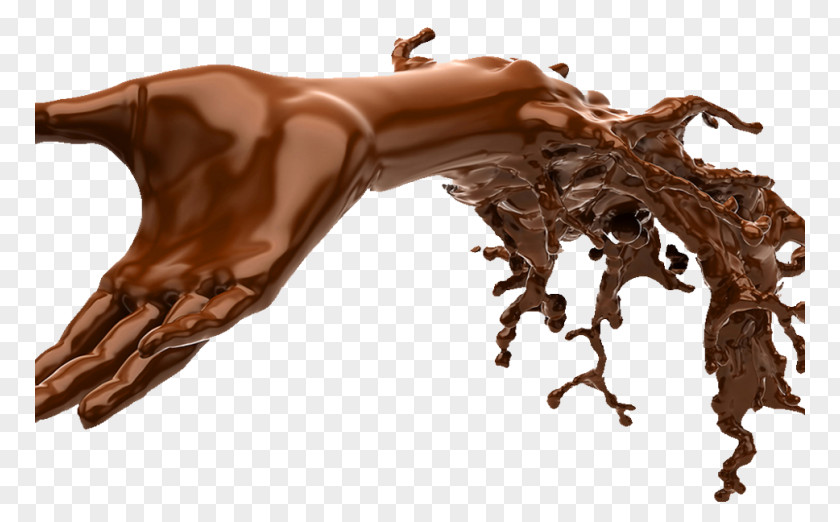 Chocolate White Bar Hot Cocoa Bean PNG