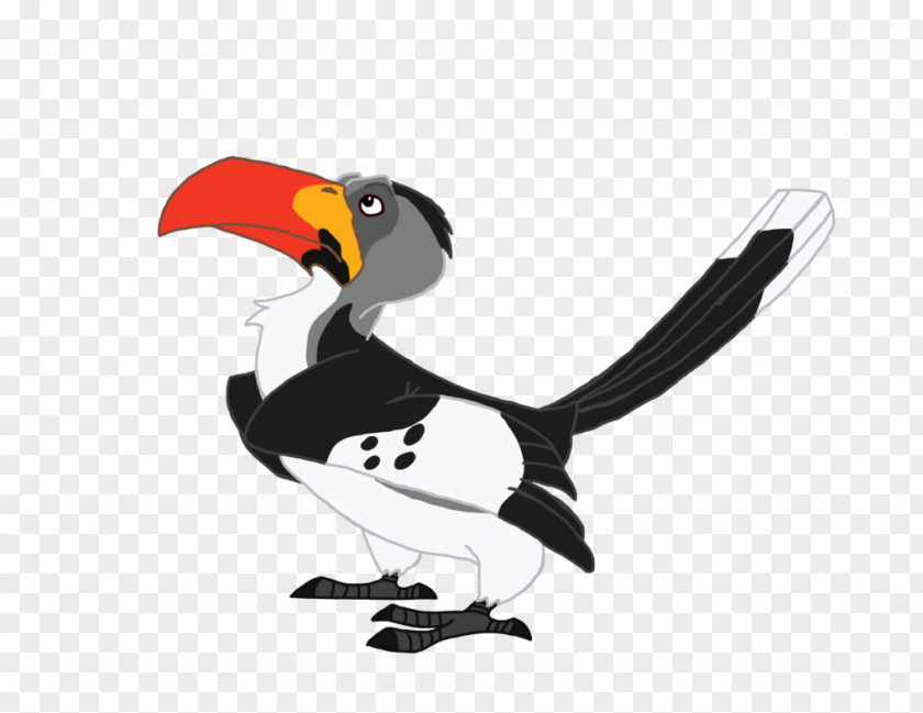 Northern Redbilled Hornbill Penguin Toucan Beak Animal Clip Art PNG