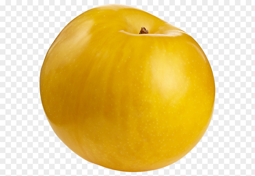 Peach Nectarine Fruit Drupe Apricot PNG