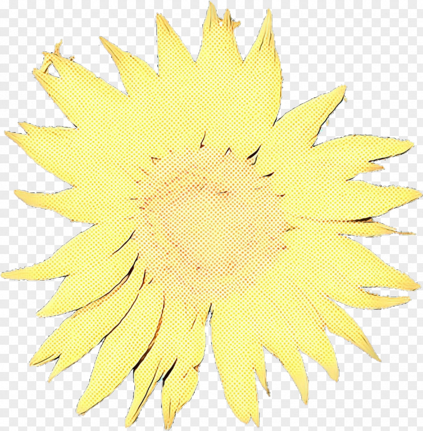 Petal Dandelion Sunflower PNG