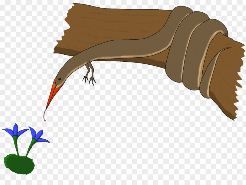Speculative Evolution Pterosaurs Art Biology PNG