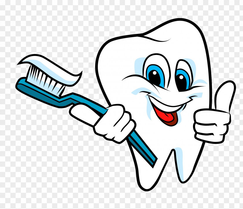 Tooth Health Brushing Teeth Cleaning Dentistry Human PNG
