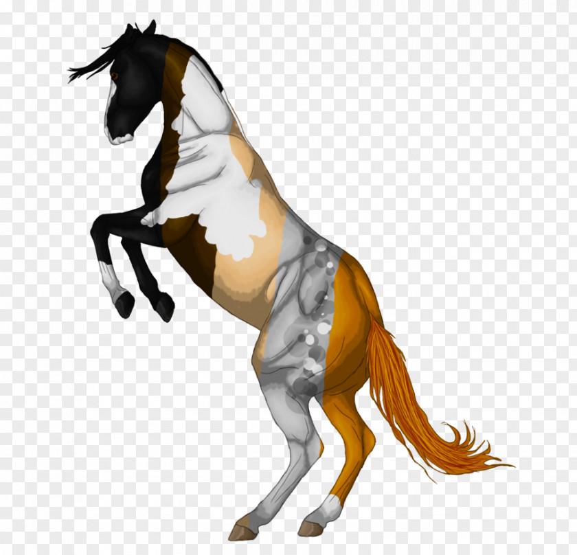 Greyscale Mane Mustang Pony Stallion Rearing PNG