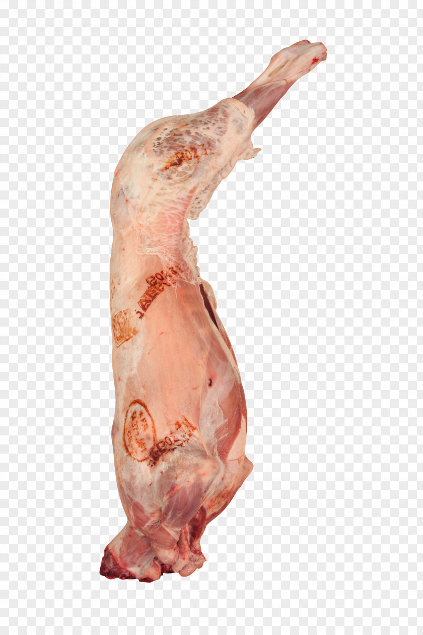 Sheep Lamb And Mutton Mandi Meat Goat PNG