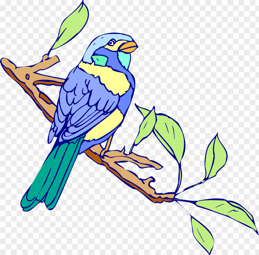 Vector Birds Bird Australasian Swamphen Macaw Clip Art PNG