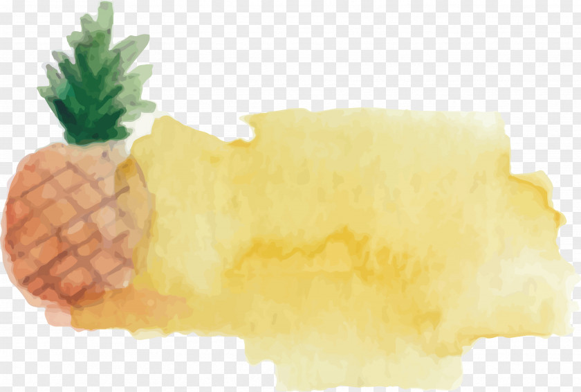 Watercolor Pineapple Brush Painting PNG