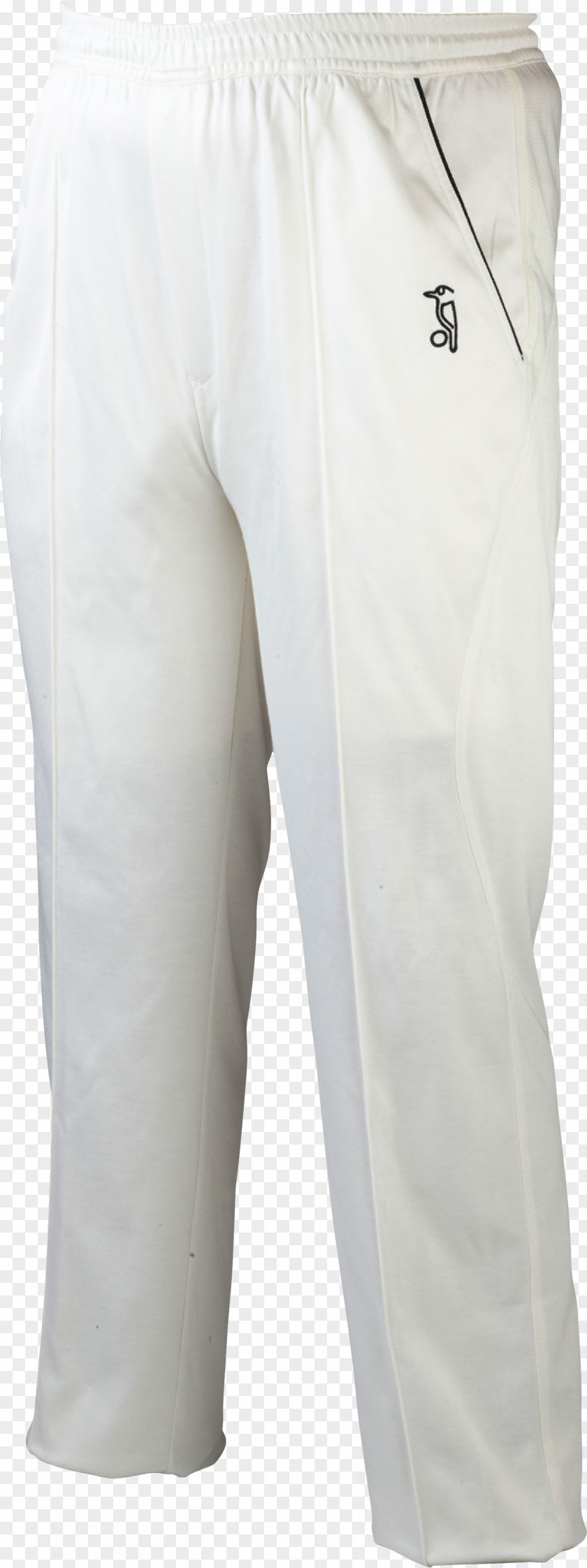 Cricket Clothing And Equipment Bermuda Shorts Pants PNG