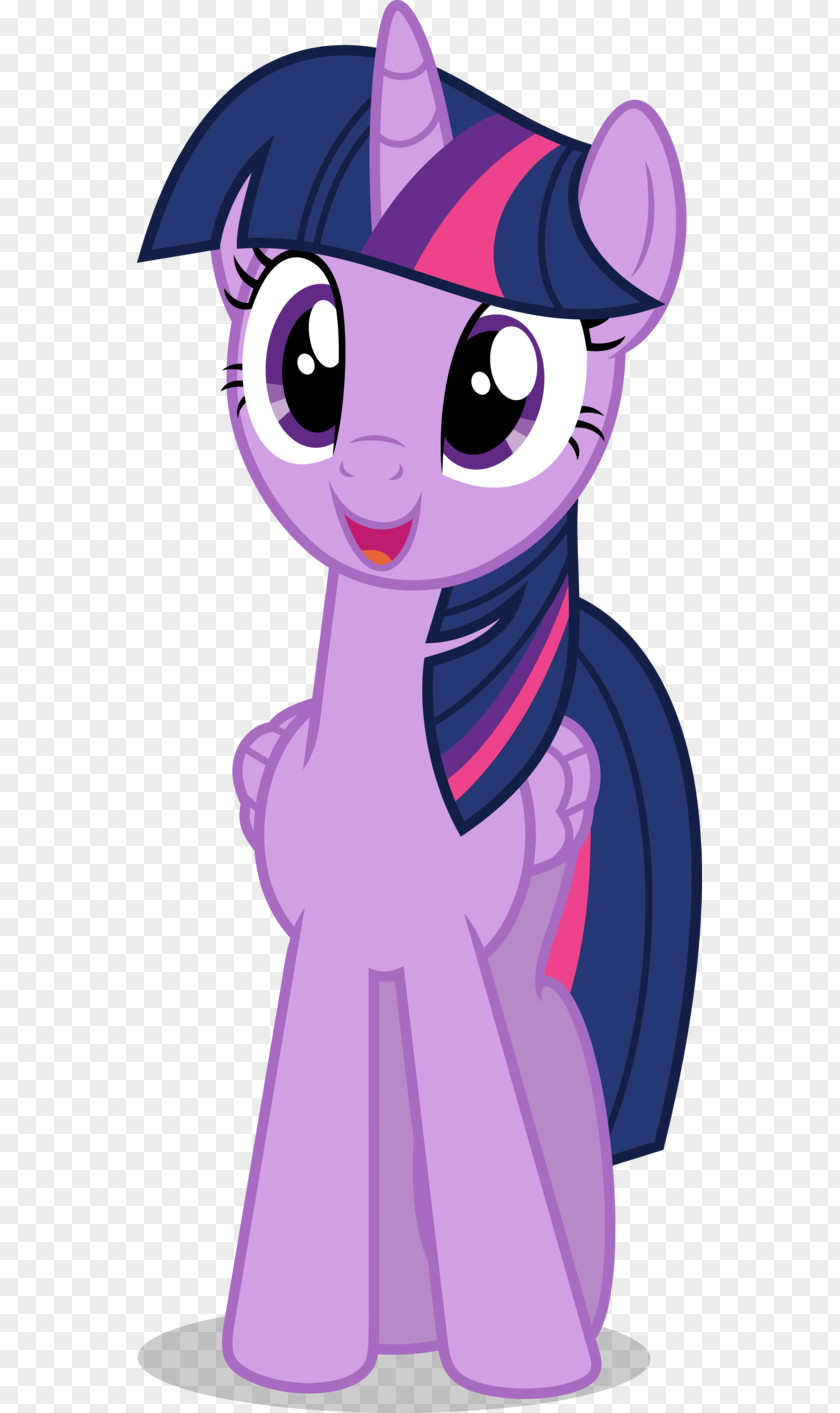 Invite Vector Twilight Sparkle Rarity Pony Equestria PNG