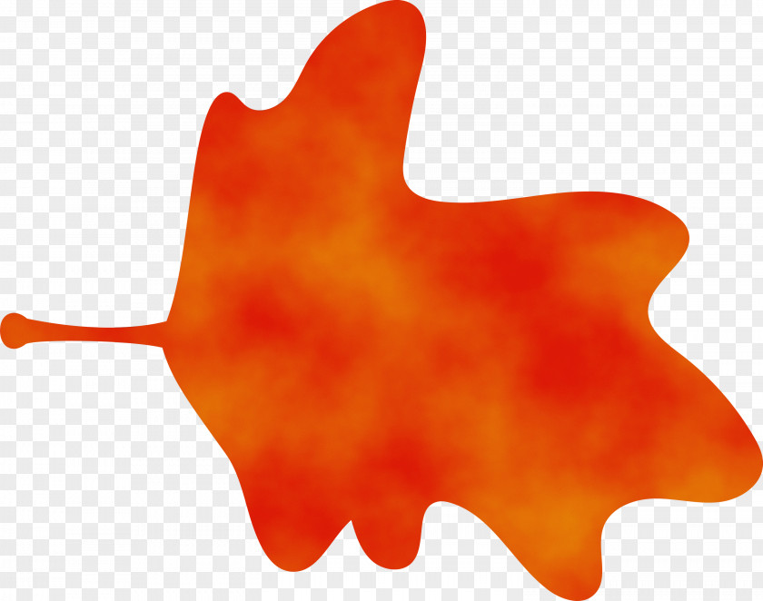 Orange PNG