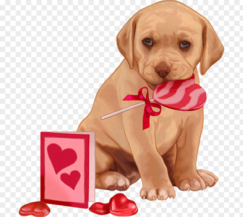 Puppy Labrador Retriever Chihuahua Dog Breed Companion PNG