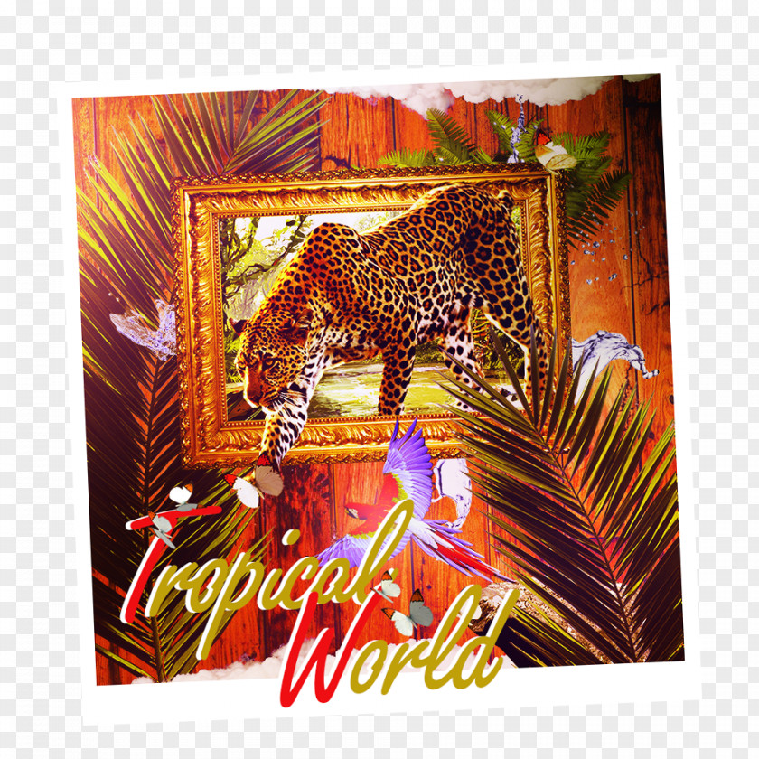 Tiger Jaguar Samsung Advertising Wildlife PNG