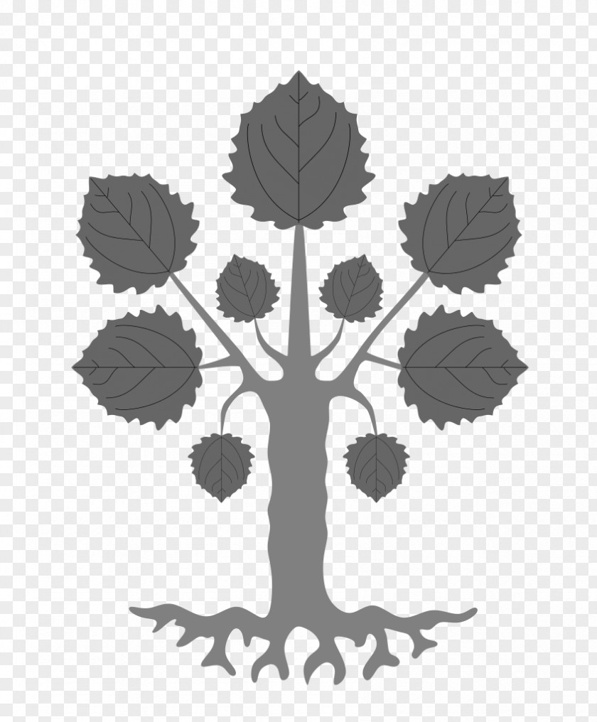 Tree Heraldry Of The World Coat Arms Silver Birch Wikipedia PNG