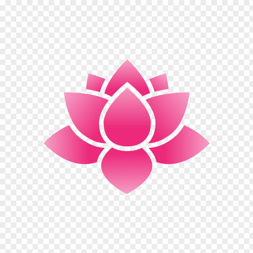 Water Lily Flower Nelumbo Nucifera Clip Art PNG