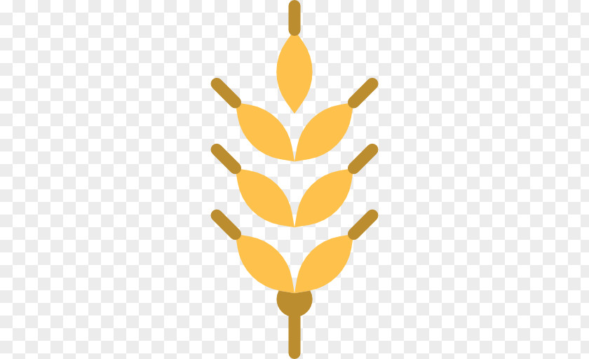 Barley Vector Wheat Clip Art PNG