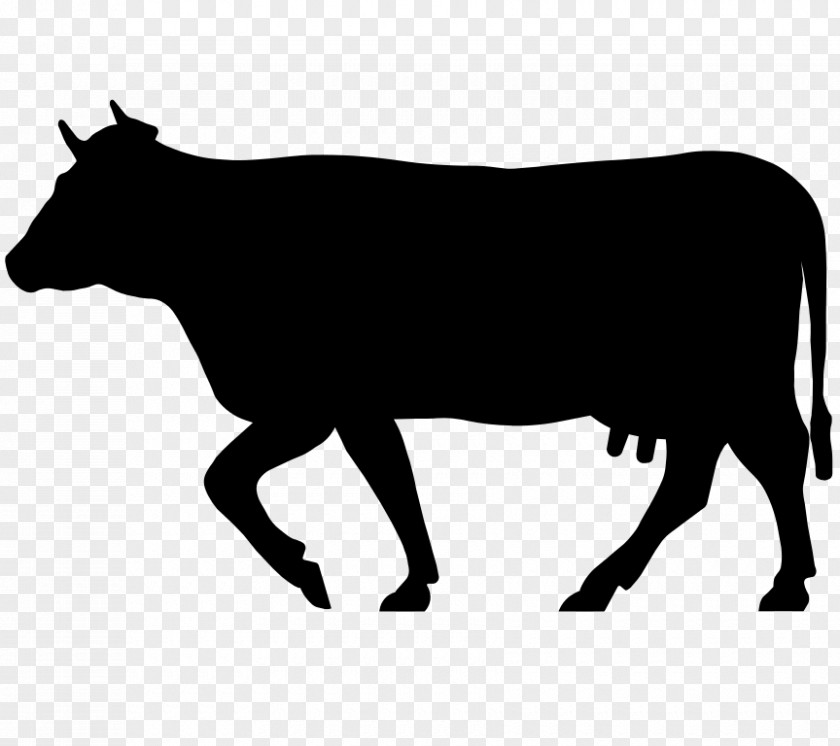 Bison Meat Beef Cattle Holstein Friesian Jersey Highland Ox PNG