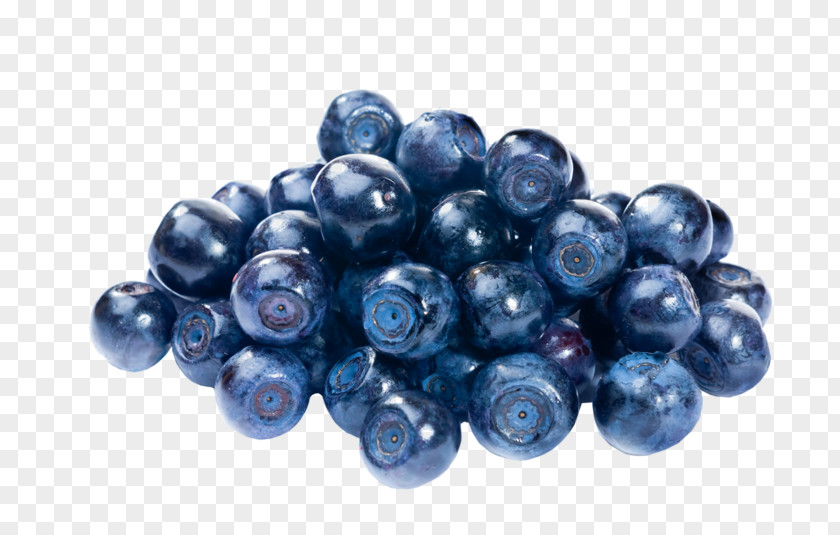Blueberry Bilberry Huckleberry Fruit PNG