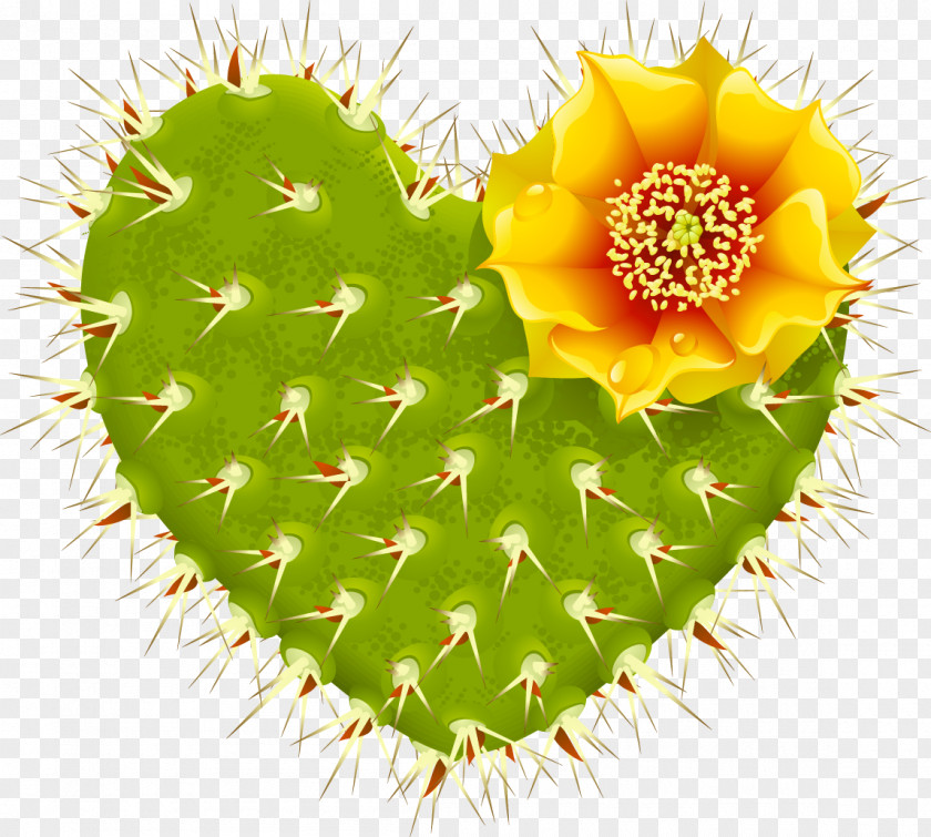 Cactus Plant Cactaceae Heart Barbary Fig Thorns, Spines, And Prickles PNG