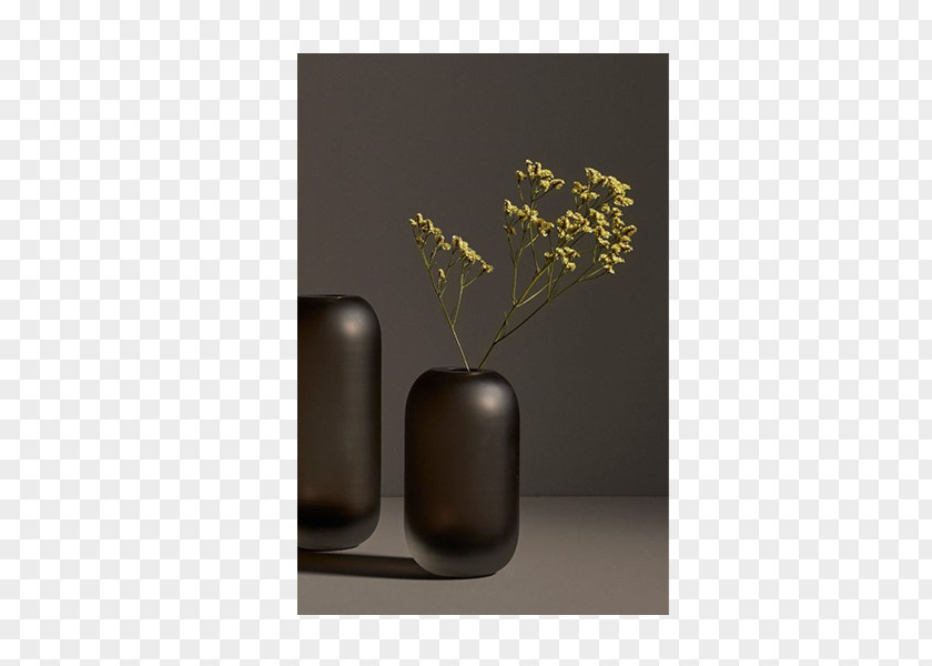 Design Vase PNG