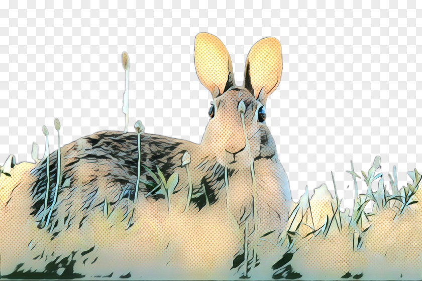 Domestic Rabbit Hare Fauna Snout PNG