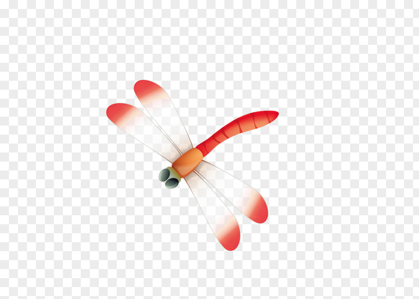 Dragonfly Insect Icon PNG