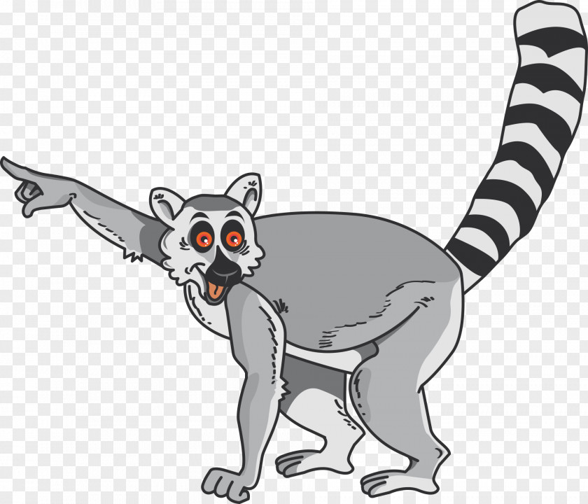 Madagascar Lemuridae Ring-tailed Lemur Clip Art PNG
