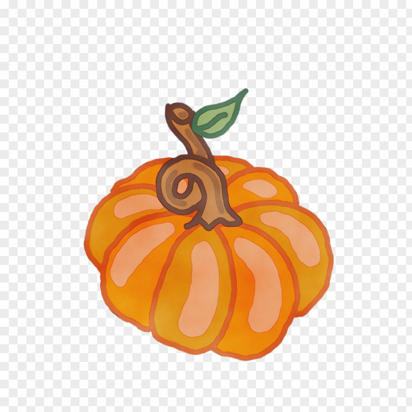 Tangerine Calabaza Orange PNG