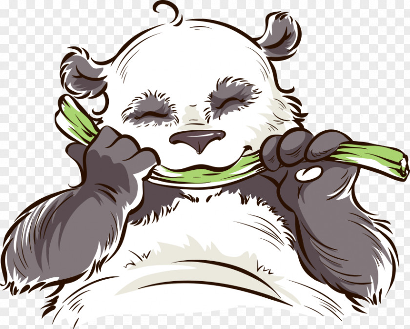 Vector Panda Eating Bamboo Giant Red Cuteness PNG
