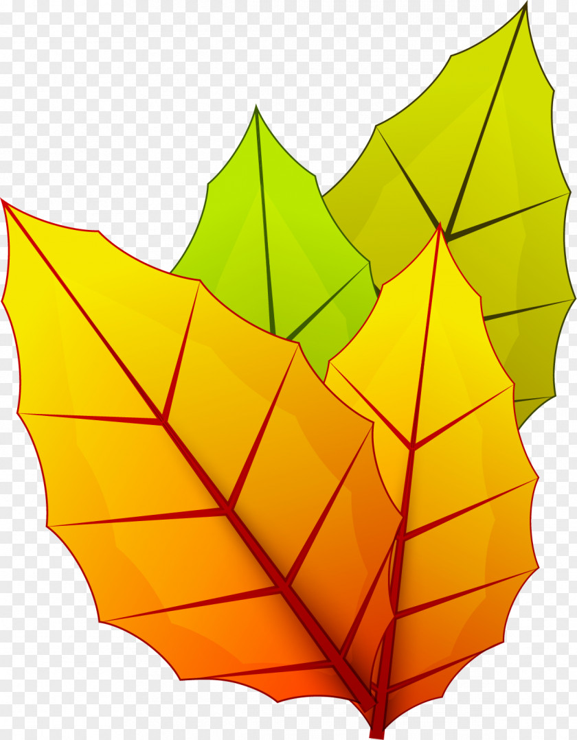 Autumn Maple Leaf Computer File PNG