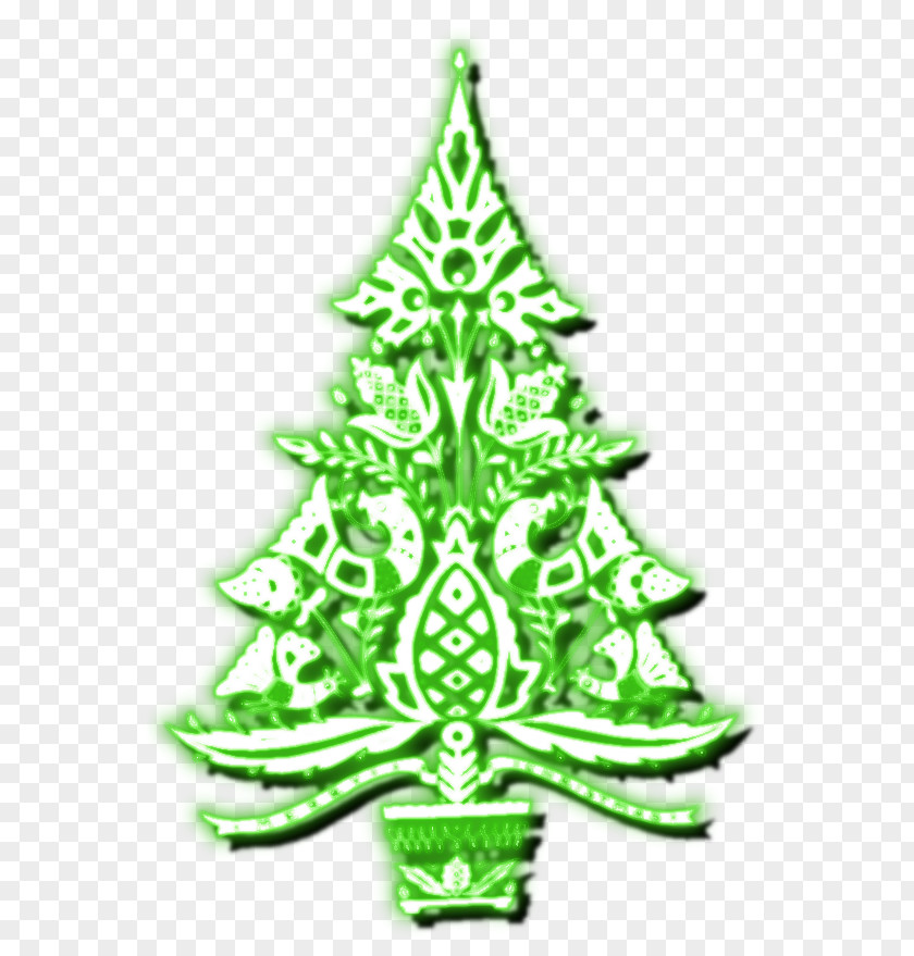 Biography Christmas Tree Spruce Fir Ornament Evergreen PNG