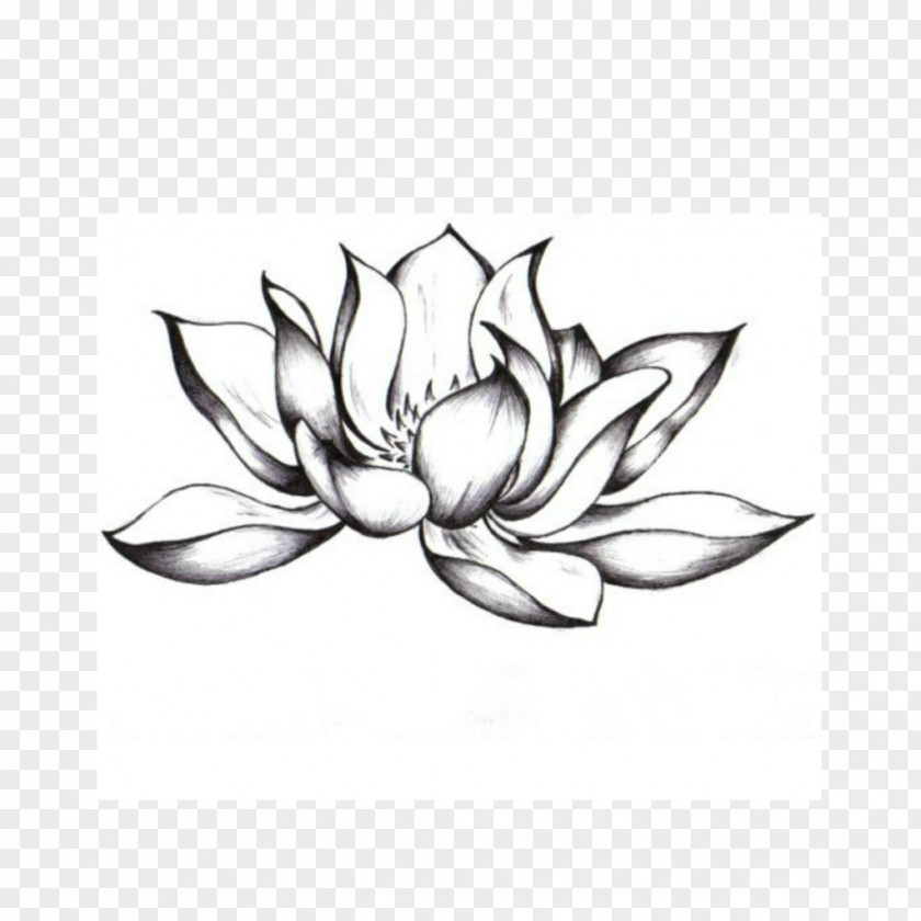 Flower Drawings For Tattoos Sacred Lotus Image PNG