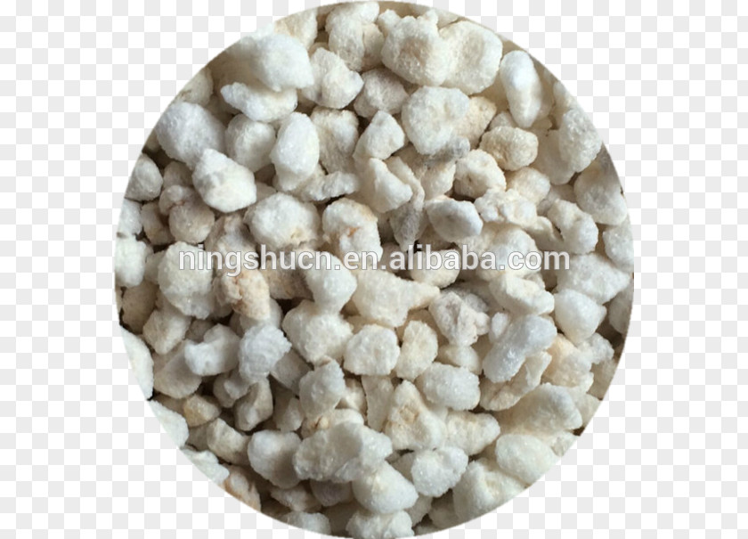 Microgreens Perlite Agriculture Hydroponics Manufacturing Material PNG