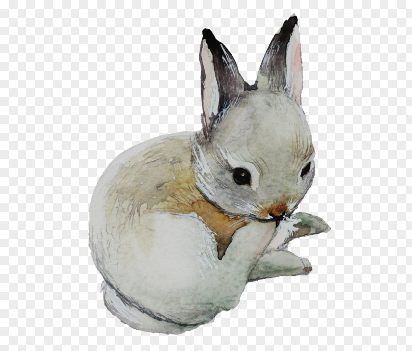 Rabbit Domestic Watercolor Painting User Interface Design Easter Bunny PNG