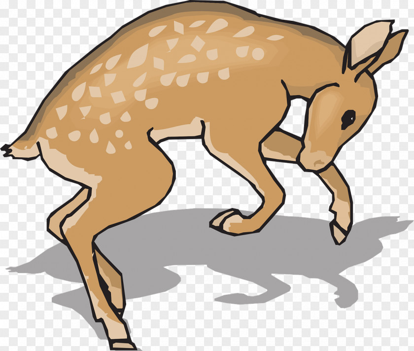 Running Deer White-tailed Clip Art PNG