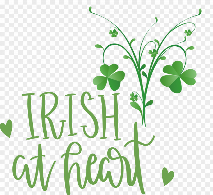 Shamrock Irish Saint Patrick PNG