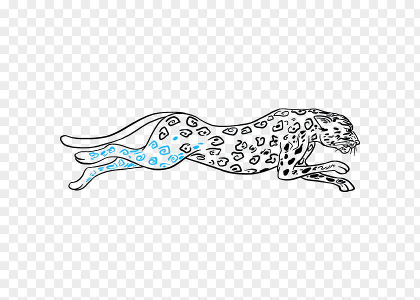 Cheetah Big Cat Coloring Pages Drawing Leopard Lion Clip Art PNG