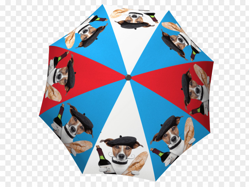 Creative Umbrella La Bella Gift Shop PNG