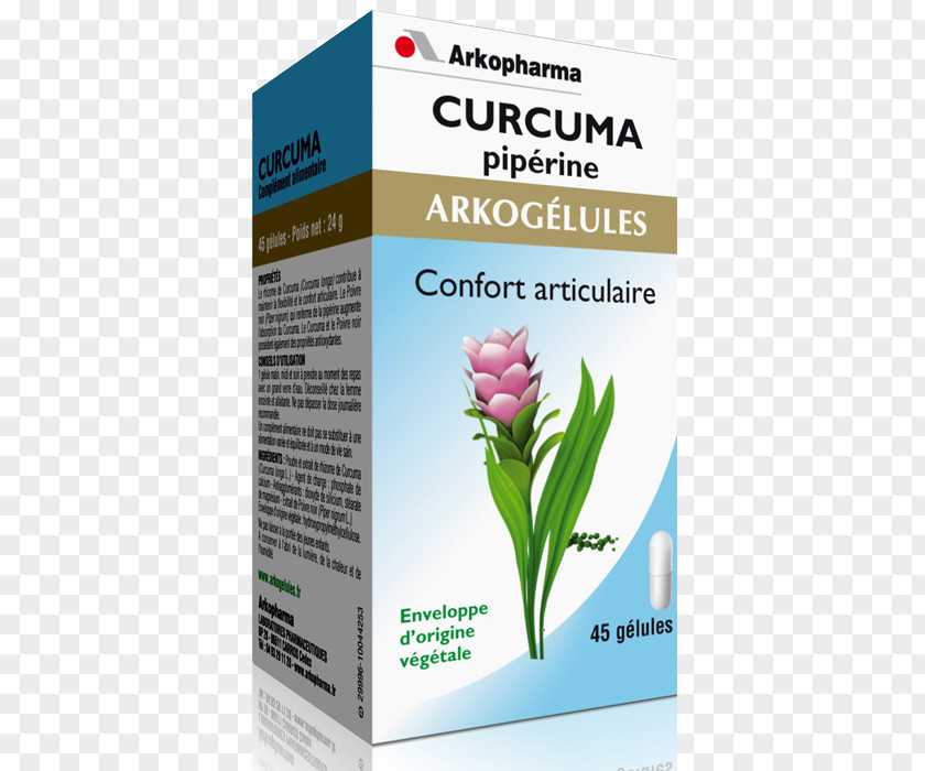 Curcuma Dietary Supplement ARKOPHARMA Laboratories, Company Limited. Capsule Pharmacy Propolis PNG