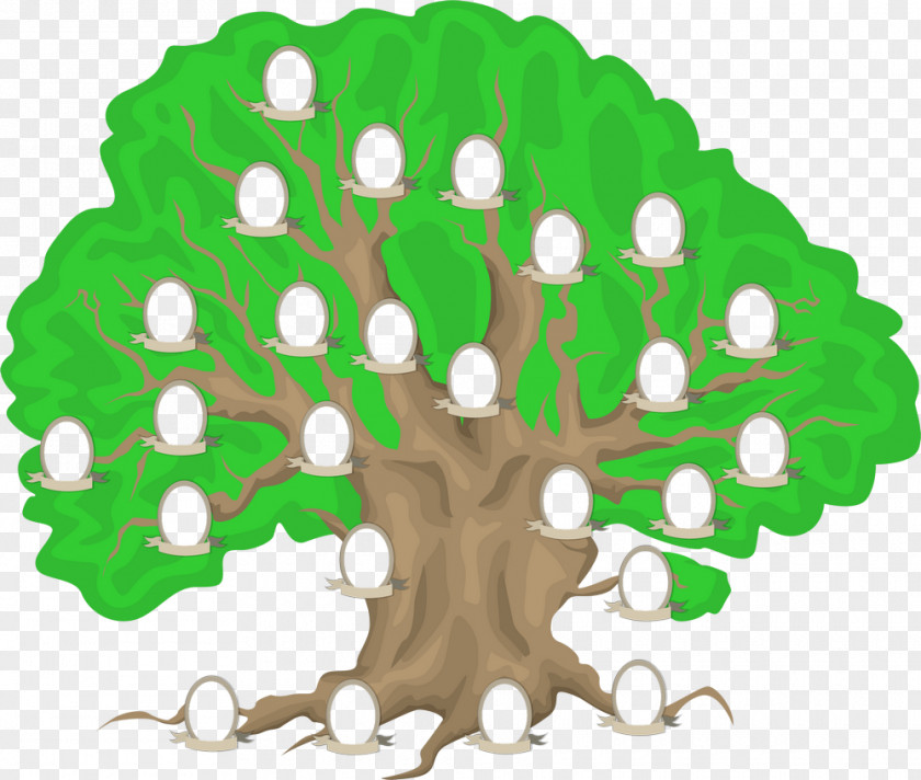Family Tree Genealogy Painting PNG