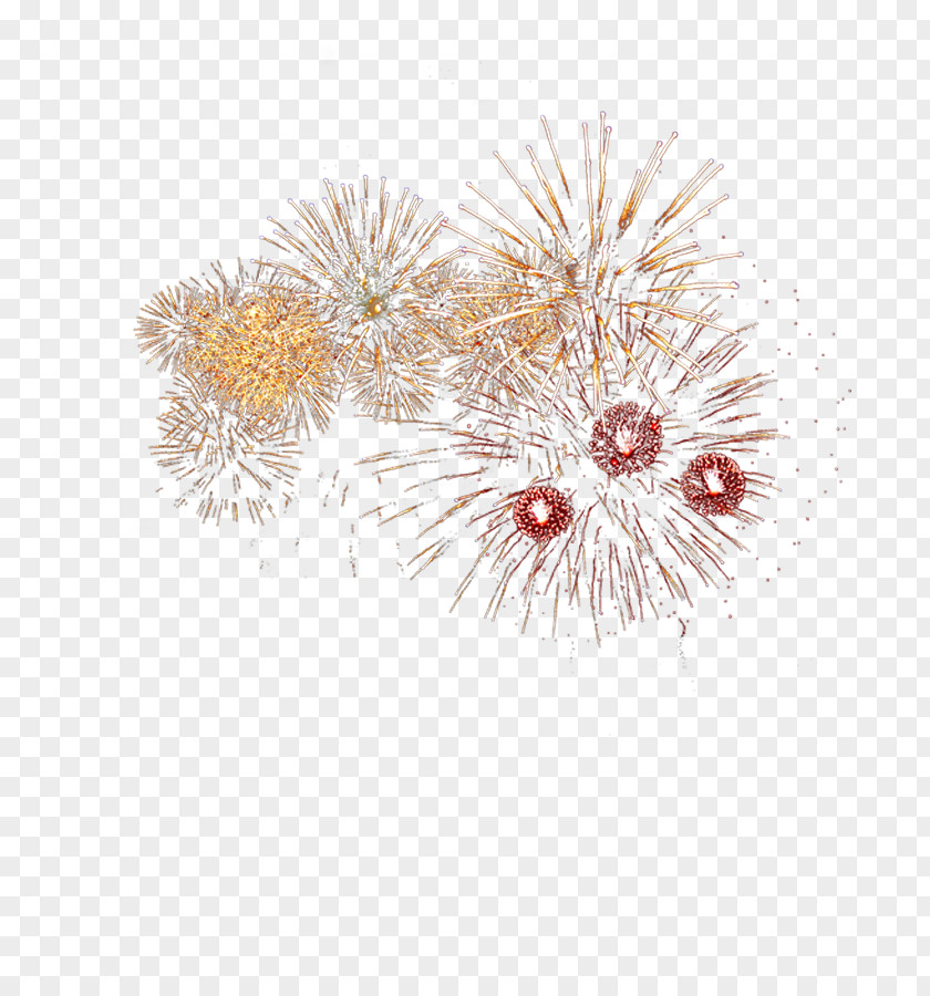 Fireworks Effect Transparency And Translucency Drawing PNG