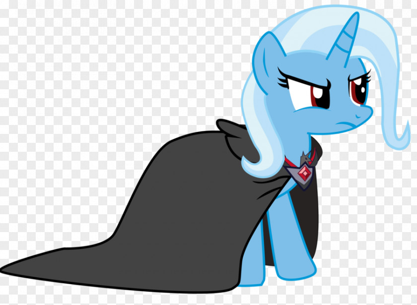 My Little Pony Rarity Trixie Twilight Sparkle Cloak PNG
