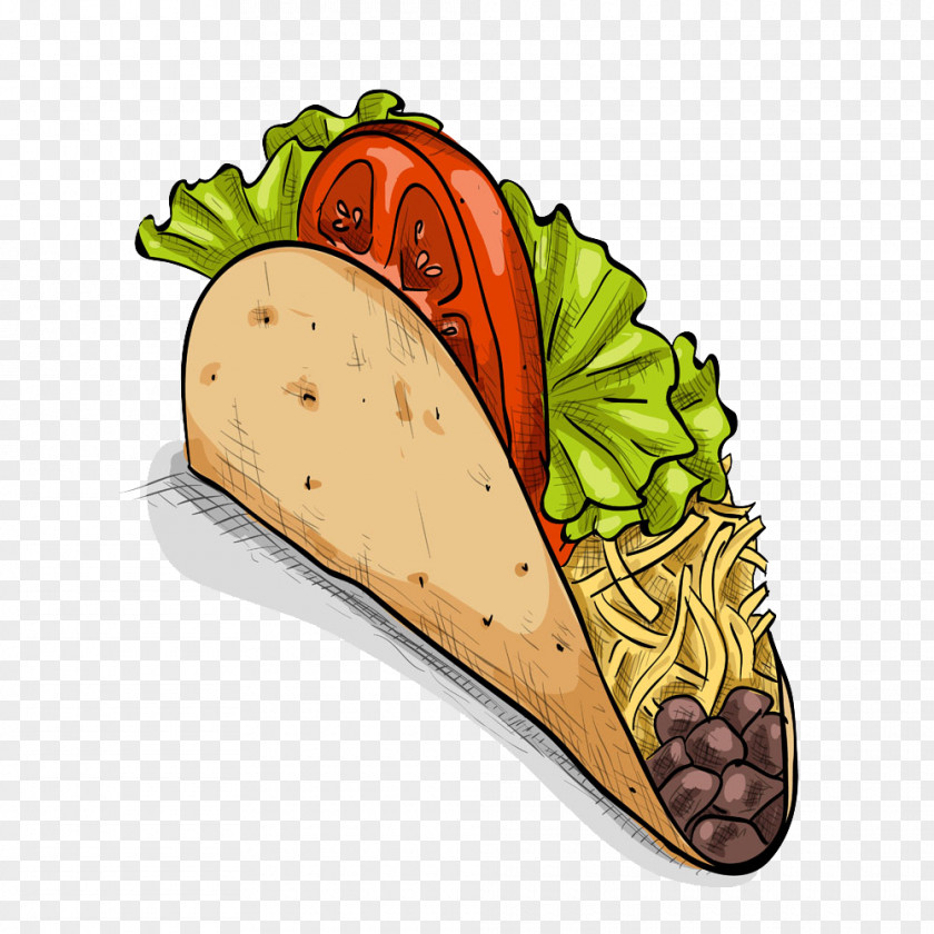 Tasty Pizza Burrito Mexican Cuisine Taco Fast Food PNG