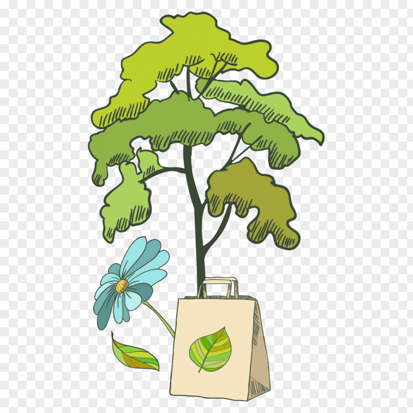 Tree Ecology Royalty-free Illustration PNG