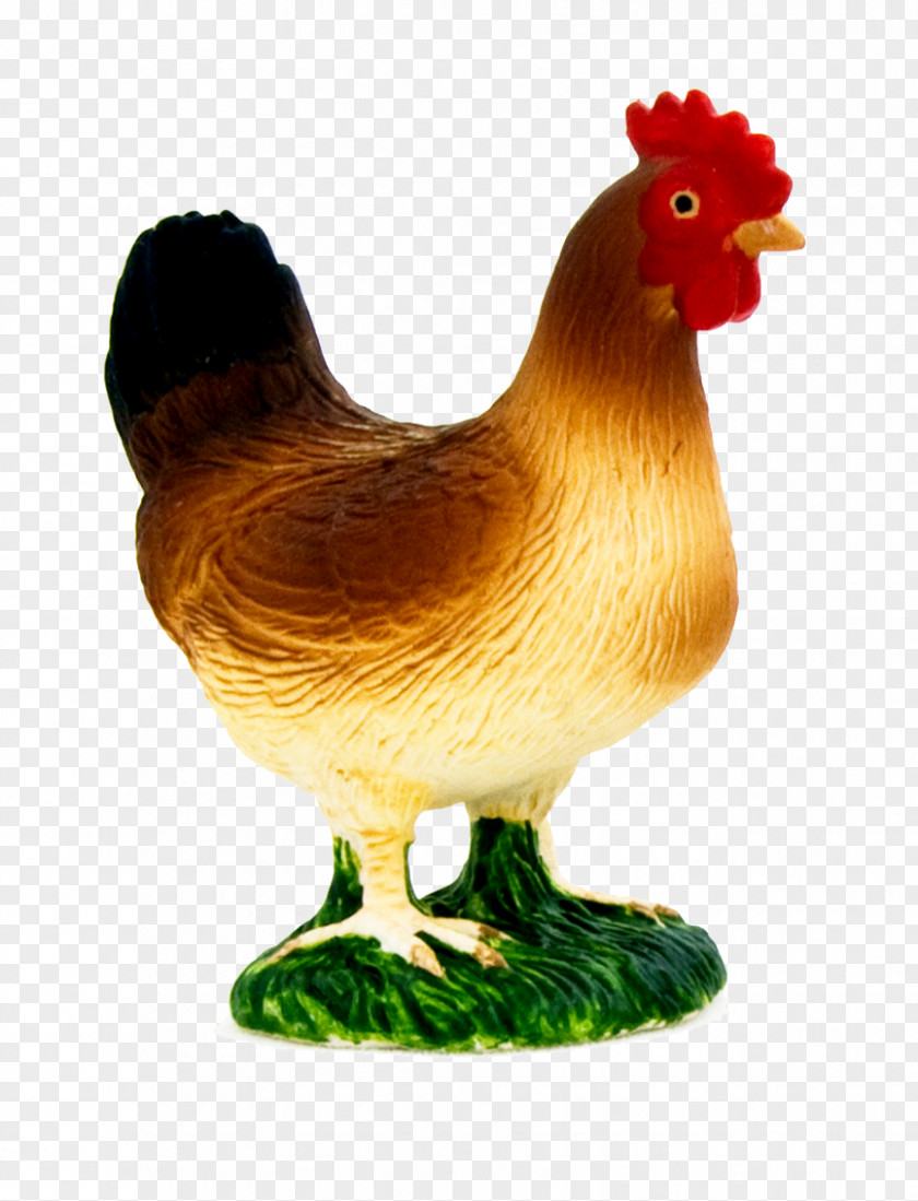 Beak Poultry Chicken Rooster Bird Animal Figure Livestock PNG