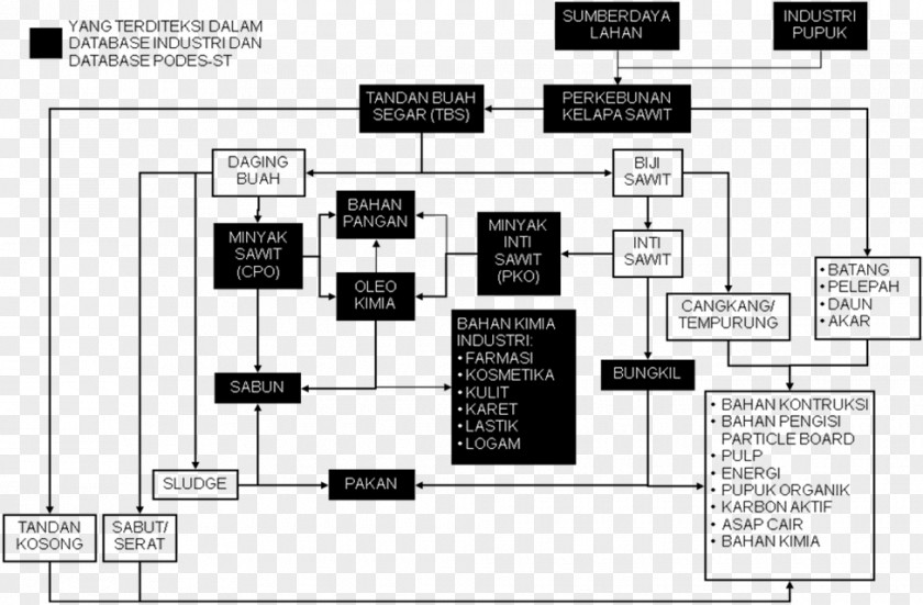 Coconut Oil Palms Industrial Agriculture Plant Industry PNG