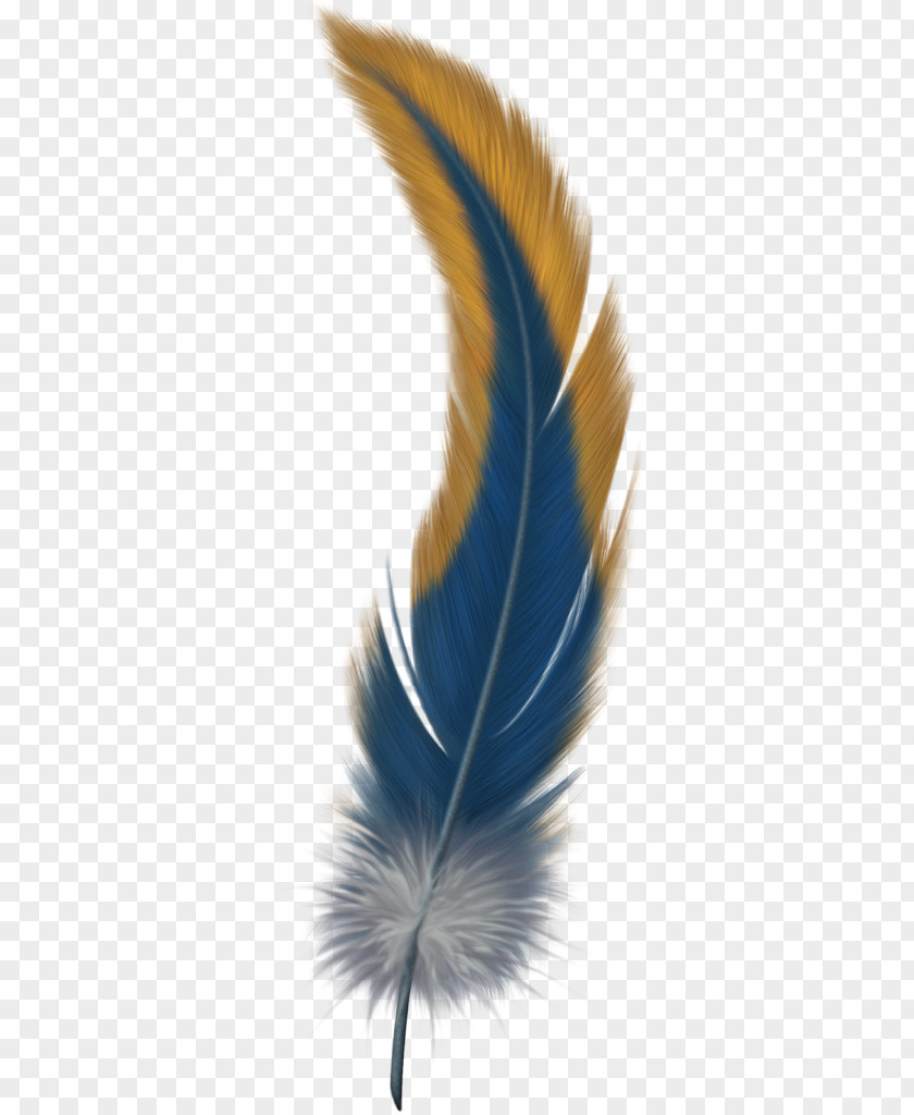 Feather Watercolor Bird Flight Clip Art PNG