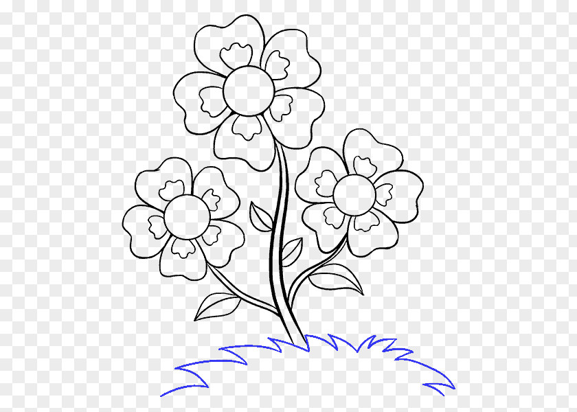 Flower Drawing Art Sketch PNG