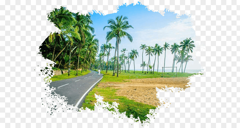 Kerala Tourism Alappuzha Desktop Wallpaper Nature Package Tour PNG